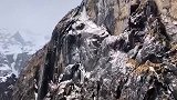 千山鸟飞绝，万径人踪灭