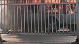 东风路桥一面包车突发自燃，具体原因正在调查