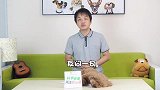 狗2天都学不会定点大小便？是不是它太笨了？