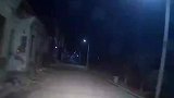 小车夜间行车被路灯误导，险些刹不住车冲下河