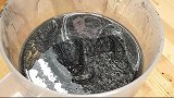 捡来一个松果，用车床加工成花瓶，好漂亮的纹路