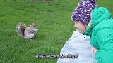 女子拿食物给松鼠吃，松鼠害羞背对女子吃，松鼠举动令人哭笑不得