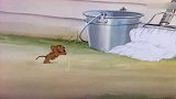 猫和老鼠：汤姆和野猫真笨，这么明显的陷阱看不出来，太不像话了