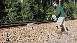离世的考拉紧紧护住育儿袋，只为保护怀中的孩子