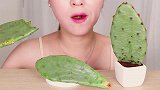 小姐姐体验可食用仙人掌，看起来嚼劲十足呀