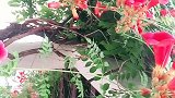 能相遇、就是缘。