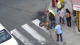 比特犬将二哈摁在街头狂咬，就连电棍都拦不住，真是太生猛了！