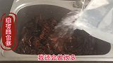 小龙虾到底应该焯水还是应该过油，用事实告诉你，以后别做错了