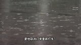 小男孩暴雨中被网约司机骗上车，半路竟遭赶下车淋雨！平台：封号