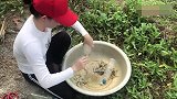 妹子用皮皮虾做诱饵钓鱼，挂上几个烂瓶子，第二天收获让人惊喜！