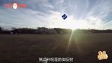 越怕狗越被追！这是中了什么邪？
