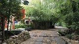 山东最美的古村之一，村民都住在竹林中，宛如世外桃源