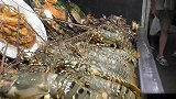 泰国街头烤海鲜，点了一大桌美味，上桌一抢而空，真香！