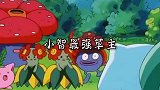 宝可梦中小智的三只草主