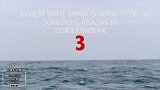 大白鲨的经典一跃有多惊人？超慢镜头展现恐怖捕食场景！