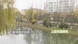 云南昆明：臭气熏天！小区旁河道变鸳鸯锅，居民直呼受不了