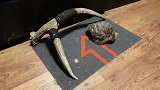 小猫头鹰在地上打滚卖萌，卖完钻回窝睡觉：你不是夜猫子吗？