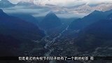 央视直播间乱入小野猫？猫叫声录入节目播出，新闻收视率屡创新高