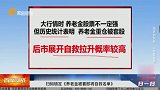 养老金持仓被套股将展开拉升自救