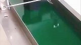 小设计往往能省很多的人工啊