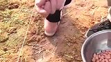 一个高跟鞋就搞定，轻轻松松种花生，真是让我大开眼界！