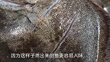 清蒸多宝鱼，做法简单原汁原味，鱼肉嫩滑有胶质