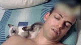 小猫躺在主人的肩膀上，安安稳稳的睡着了，真有趣！