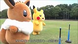 皮卡丘与伊布比赛，萌物对决，你是要笑死我好继承我的花呗么
