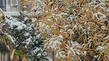 季节换了个名字，依旧风光如故。