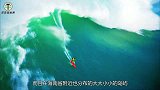 海南一海岛发现大量野牛，来历一直不明，专家从牛粪中找到了答案