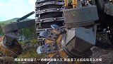 外国巨型树木移栽机器，启动的那一刻，令人不淡定了