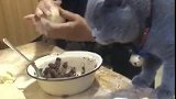 猫：我来看看奶奶包的什么馅！