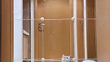 你有没有被一只猫咪跳起帅到过。