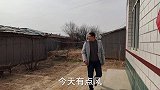 小凯终于去岳父家拜年了，看小凯都准备了啥礼物？岳父会不会嫌弃