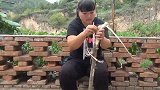 陕北名吃八大碗，农村阿霞一次做了8碗，大家都说吃美了！