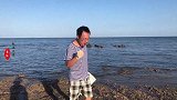 二哥捡漏发现野生蚝田，几万只生蚝好几千斤，看起来够吃几个月