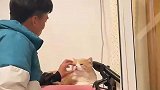 专程来看女朋友的男生，进屋半个小时了还在和猫猫玩