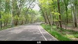 如果有人叫你去露营，一定要三思，因为去了可能就再也不想回来了