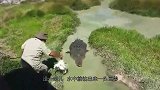 朝平静的水面扔一块肉，会怎样？竟冒出条鳄鱼，吓得男子赶紧跑！