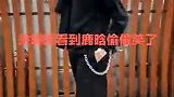 关晓彤看见鹿晗竟然这个表情