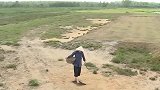 女人无意中踩到一个脚印，回家竟然产下了一只癞蛤蟆