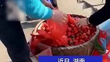 女子无意间拍到摊主，调换草莓的全过程