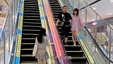 苍蝇不叮无缝的蛋