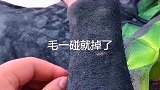 从小我就感觉我和别人不一样，我的汗毛特别黑，一碰就掉