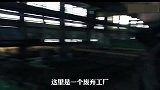 贝爷为吃鸡蛋大的鸽子蛋，冒险爬上三十米高墙