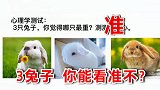心理学测试：3只兔子，你觉得哪只最重？看透你的内心