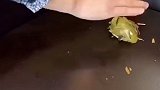 犄角旮旯，搞定居家必备