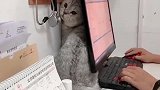 猫：主人多久回家呀，医院人太多了，我怕怕！