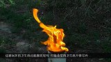 800根仙女棒塞进西瓜，点燃后太震撼，小伙都看呆了！