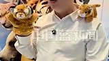 “美丽中国行”之老虎的气味究竟是什么样的？